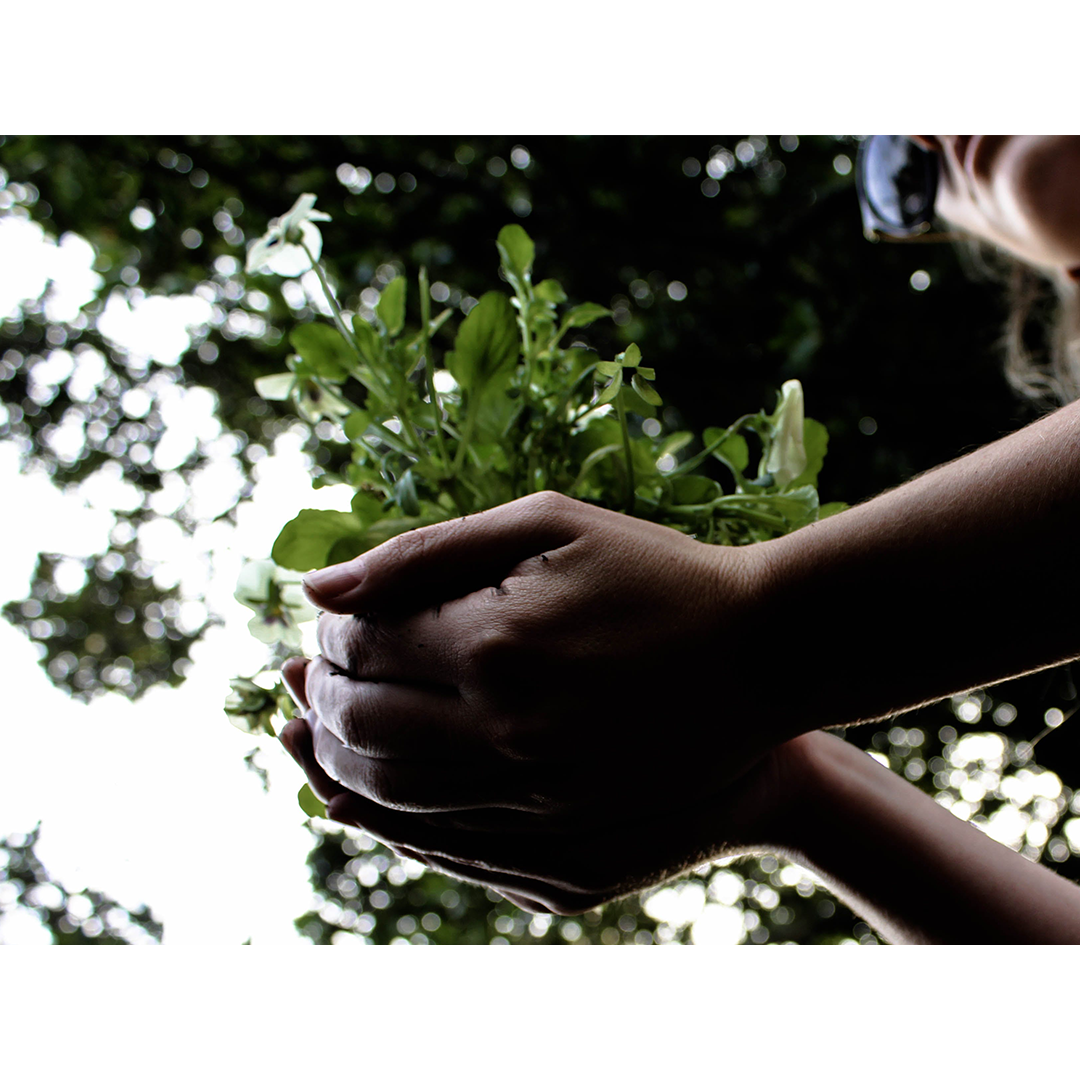 Photo by Mike Greer showing a woman holding a plant