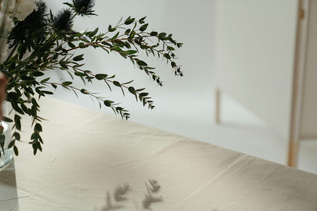 Eucalyptus vs. Cotton: 3 Facts That Will Surprise You